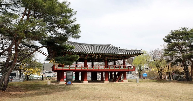 한풍루 벚꽃 / 무주군