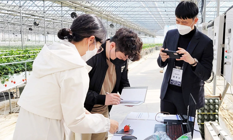 딸기 이미지 활용 무게 예측 기술 시연