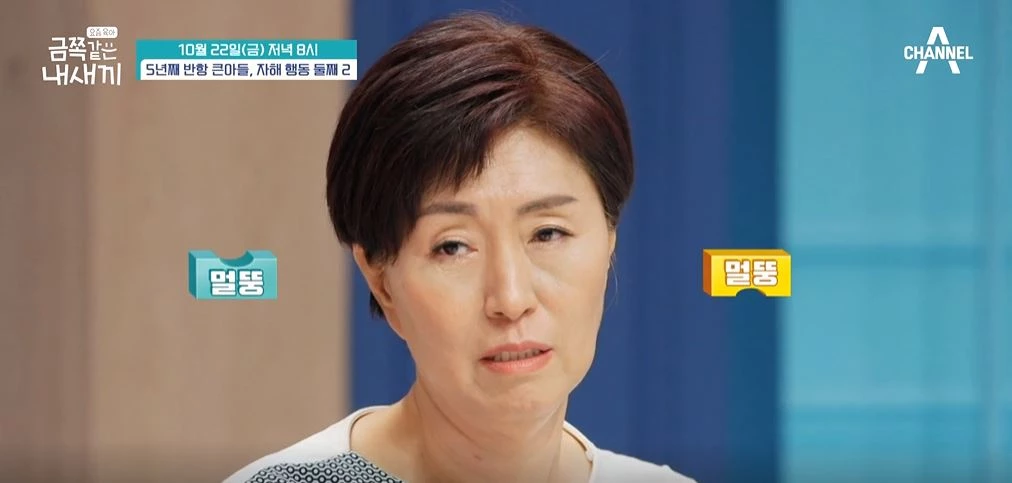 이하 채널A '요즘 육아 금쪽같은 내 새끼'