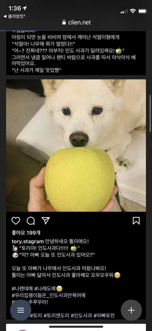 윤석열 전 검찰총장 반려견 인스타그램 캡처.