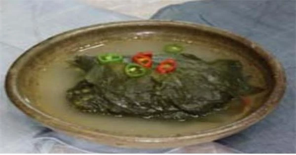 콩잎물김치 / 농촌진흥청