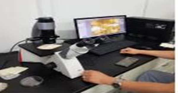 스마트도립현미경 실험 모습