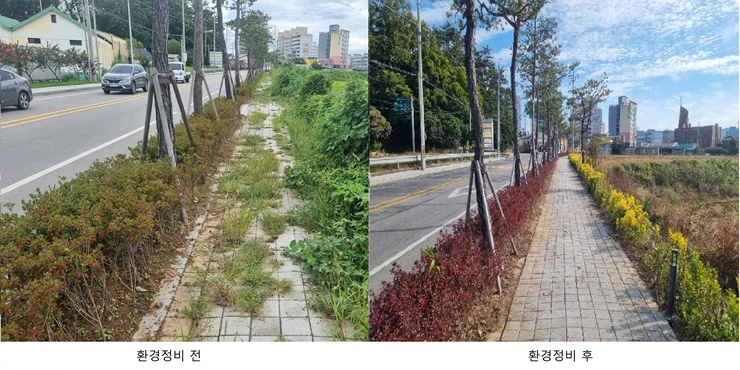 강진군 강진읍,‘깨끗한 강진, 다시 찾고 싶은 강진 만들기’앞장