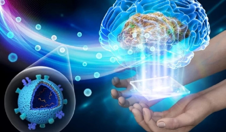 논문 표지 이미지 / 한국기초과학지원연구원