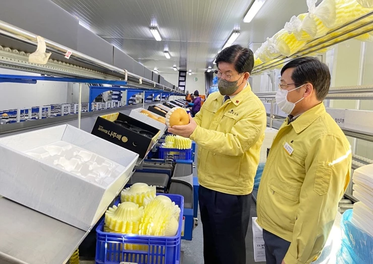 나주배 원협 선과장을 방문한 강인규 나주시장