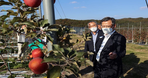 경남 사과이용연구소 / 농촌진흥청