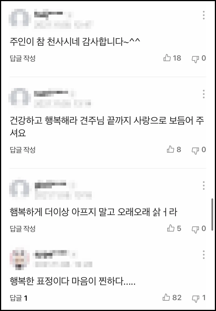 네티즌 반응 / 네이버뉴스