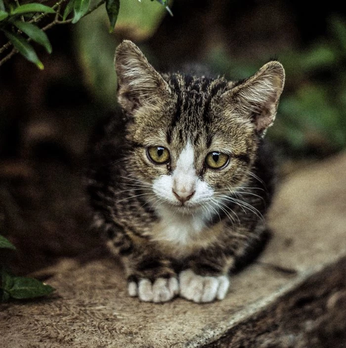 기사와 관련 없는 자료사진 / 이하 셔터스톡