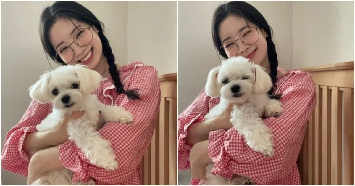 트와이스 인스타그램