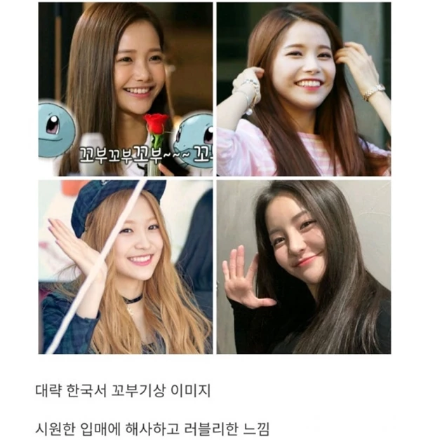 루리웹 글 '꼬부기상이라는 단어를 처음 접한 일본인들' 캡처. / 이하 루리웹