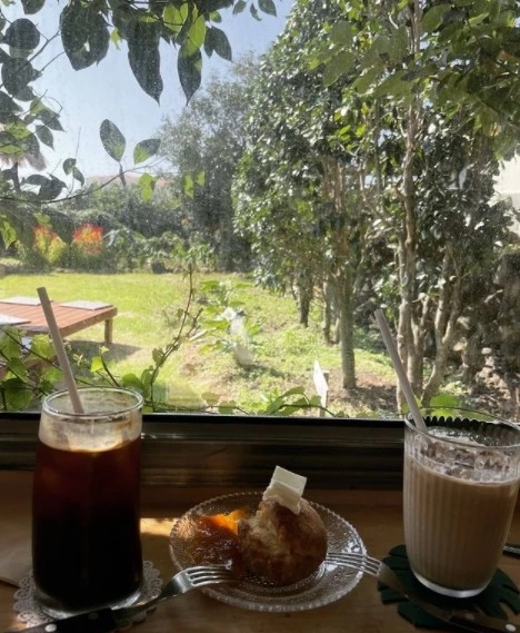 박한별이 운영 중인 카페 / 횡정음 인스타그램