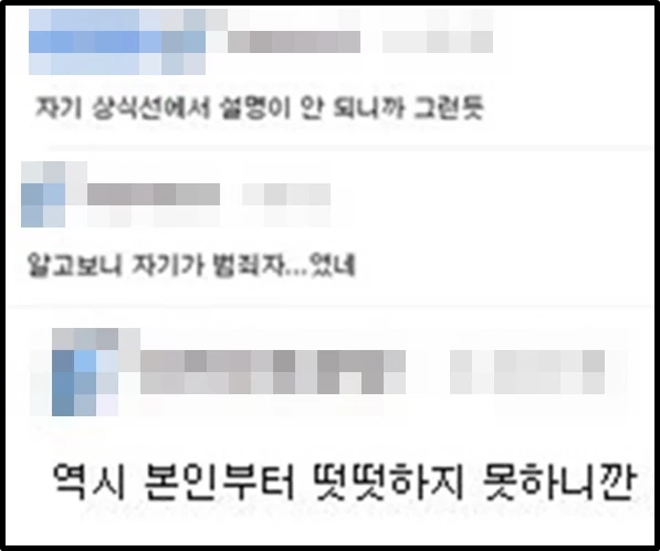 온라인 커뮤니티 에펨코리아 댓글창 캡처