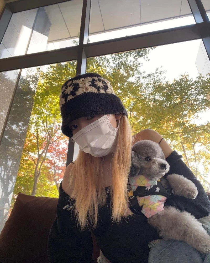 이하 태연 인스타그램