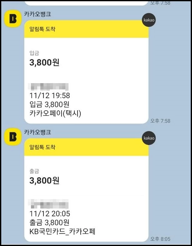 A 씨가 공개한 결제 내역 / 보배드림