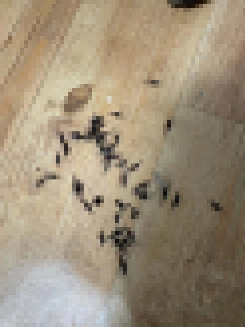 이하 페이스북 페이지 '육군훈련소 대신 전해드립니다'