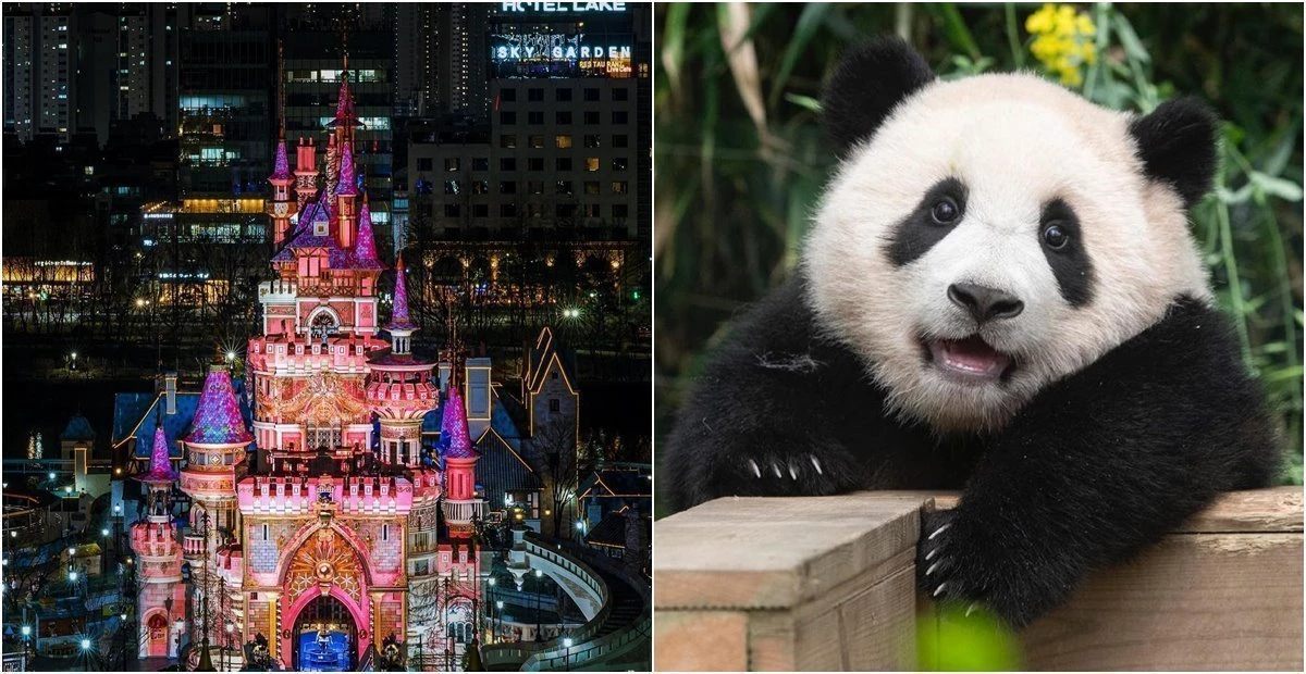 롯데월드, 에버랜드 인스타그램