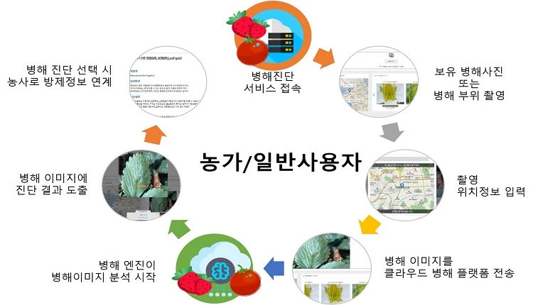 병해진단 순서 / 농촌진흥청