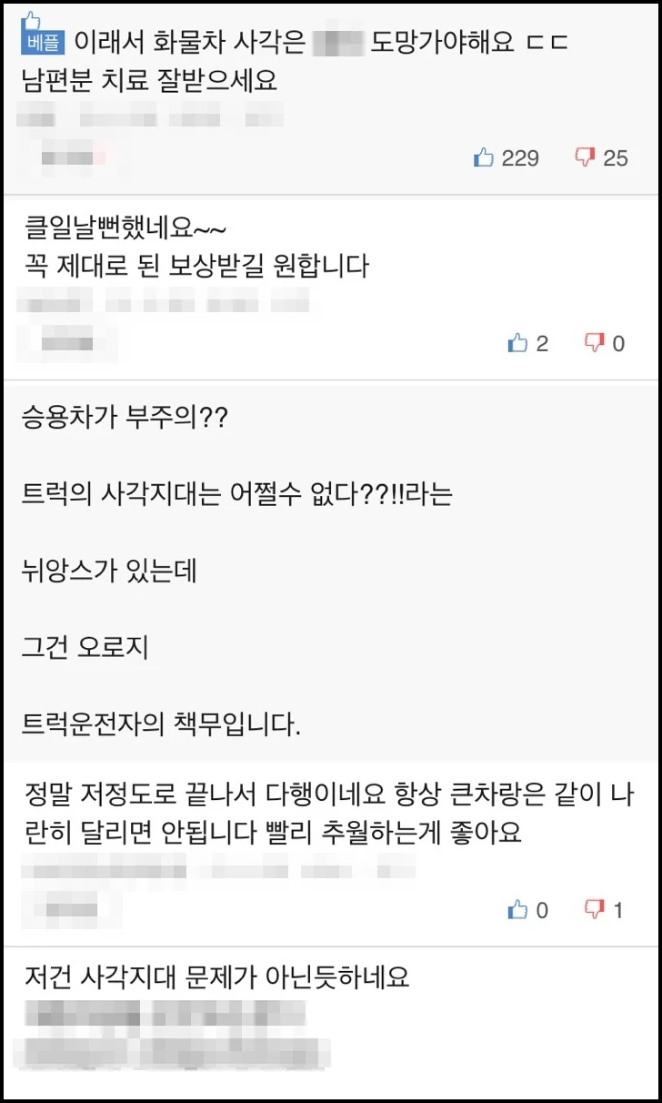 네티즌 반응 / 보배드림