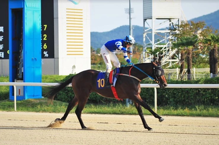 영광의레전드 아름다운 질주 우승 장면 / 사진제공=이하 부산경남경마공원