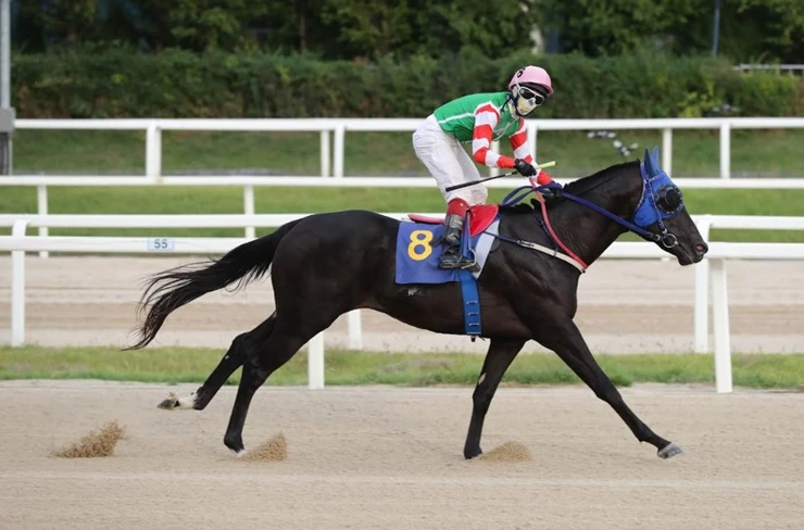 '컴플리트밸류' 문화일보배 우승 장면