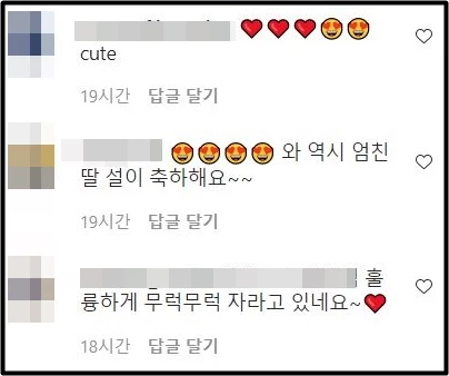 김설 모친 인스타그램 댓글창 캡처