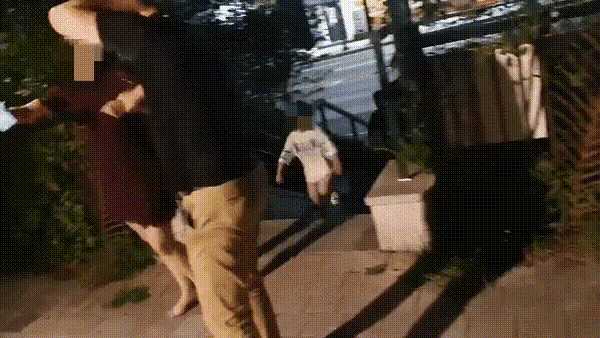 만취녀가 가장을 때리는 모습 (영상=보배드림)