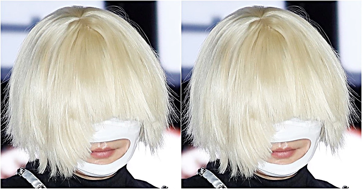 14일 공식석상에 나타난 해당 연예인 / 이하 뉴스1