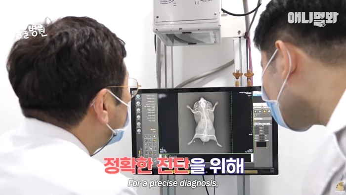 이하 유튜브 'SBS TV동물농장x애니멀봐 공식 유튜브 채널입니다!'