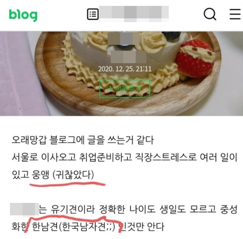 블로그명, 프로필 사진, 반려견 이름은 모자이크 처리했습니다. / 이하 에펨코리아 캡처