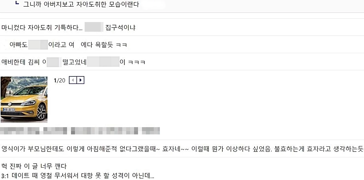 디시인사이드 나는 솔로 갤러리 댓글 창 캡처