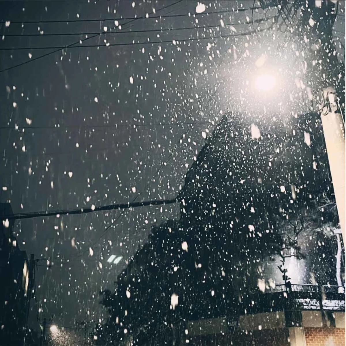 홍진영이 인스타그램에 올린 사진 / 홍진영 인스타그램