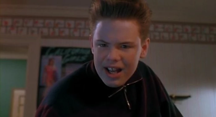 이하 영화 '나 홀로 집에'