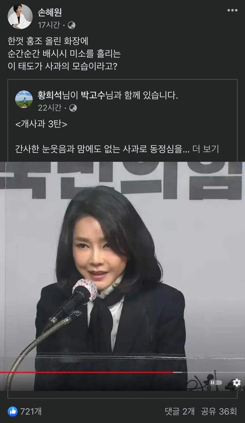 이하 손혜원 전 더불어민주당 의원 페이스북