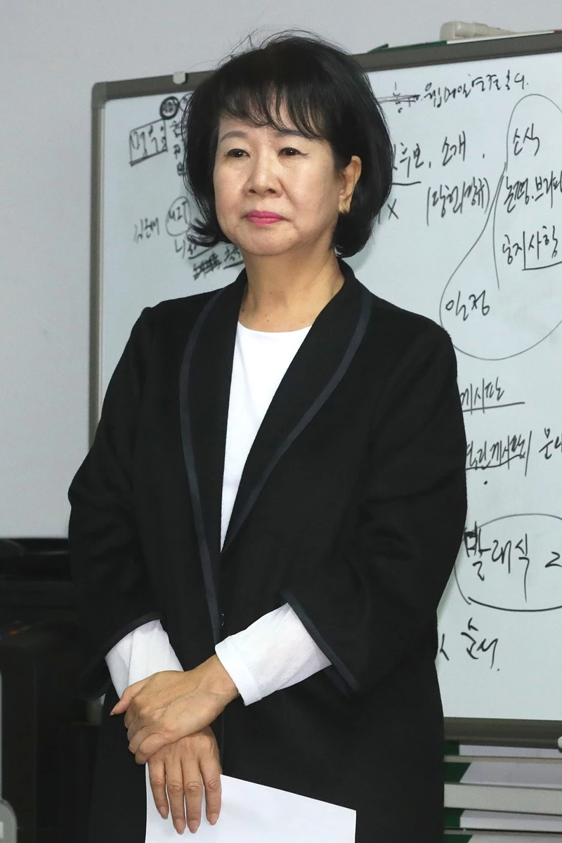 손혜원 전 더불어민주당 의원 / 이하 뉴스1