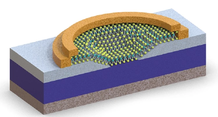 게르마늄/이황화몰리브덴 이종접합 광센서 모식도 : 게르마늄(Ge) 기판에 2차원 이황화 몰리브덴 (MoS2)을 이종접합 광센서 모식도. 기존 반도체 이종 접합이 격자 길이에 제한되었던 점에서 벗어나 반데르발스 이종접합 구조를 통해 차별화된 광센서 구현이 가능했다.    /  아주대학교 허준석 교수