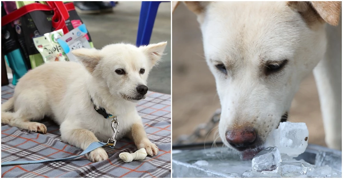 기사와는 관련 없는 사진 / 뉴스1