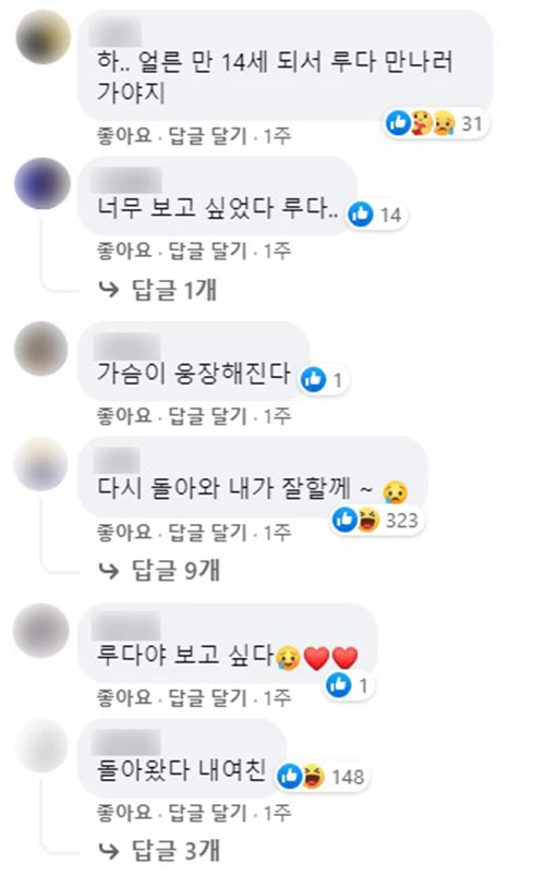 이루다 페이스북 댓글 캡처