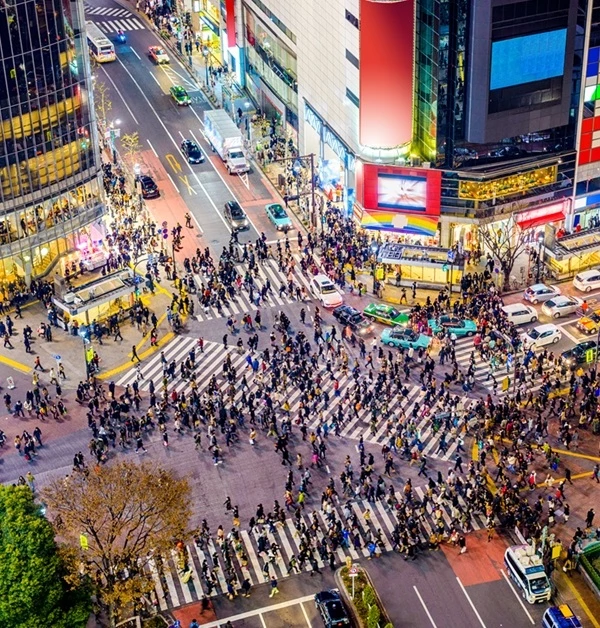 일본 도쿄 시부야 거리 /셔터스톡