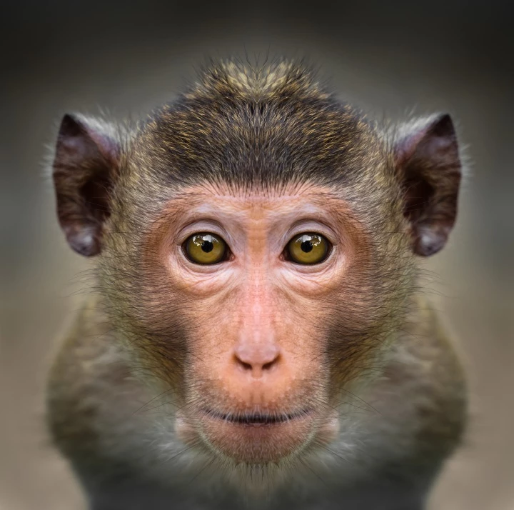 기사와 무관한 자료 사진 / tratong / Shutterstock.com