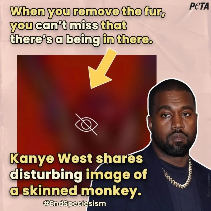 동물권 단체 PETA 인스타그램