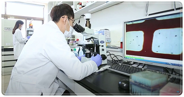 조선대 기술지주 자회사 ㈜큐얼스,친환경 녹조 제거기술 국립환경과학원 최종... - 뉴스 썸네일 이미지