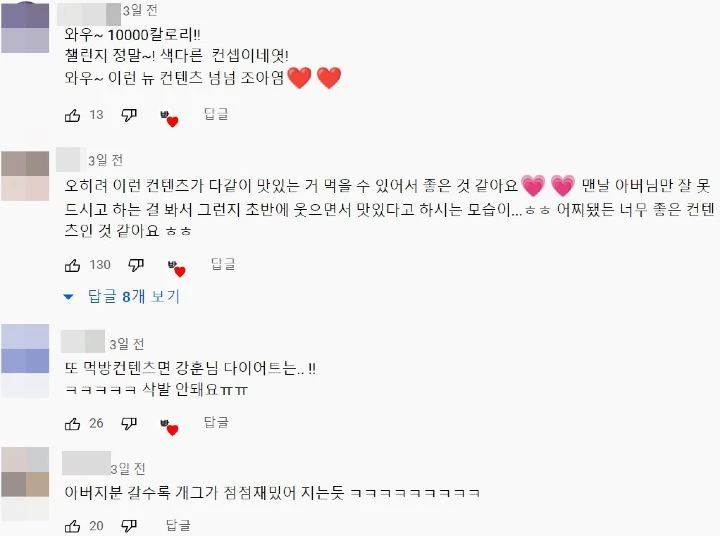 누리꾼들 반응. / 유튜브 채널 '박씨집안'