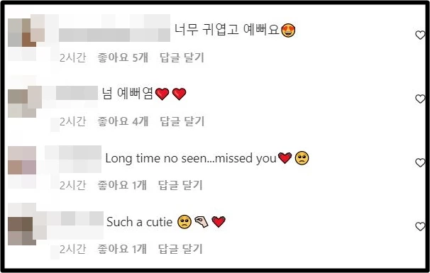 신세경 인스타그램 댓글창 캡처