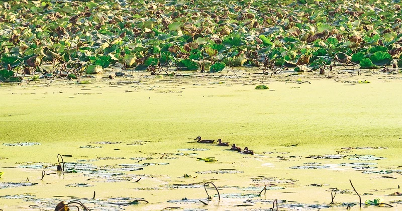 신척저수지 전경