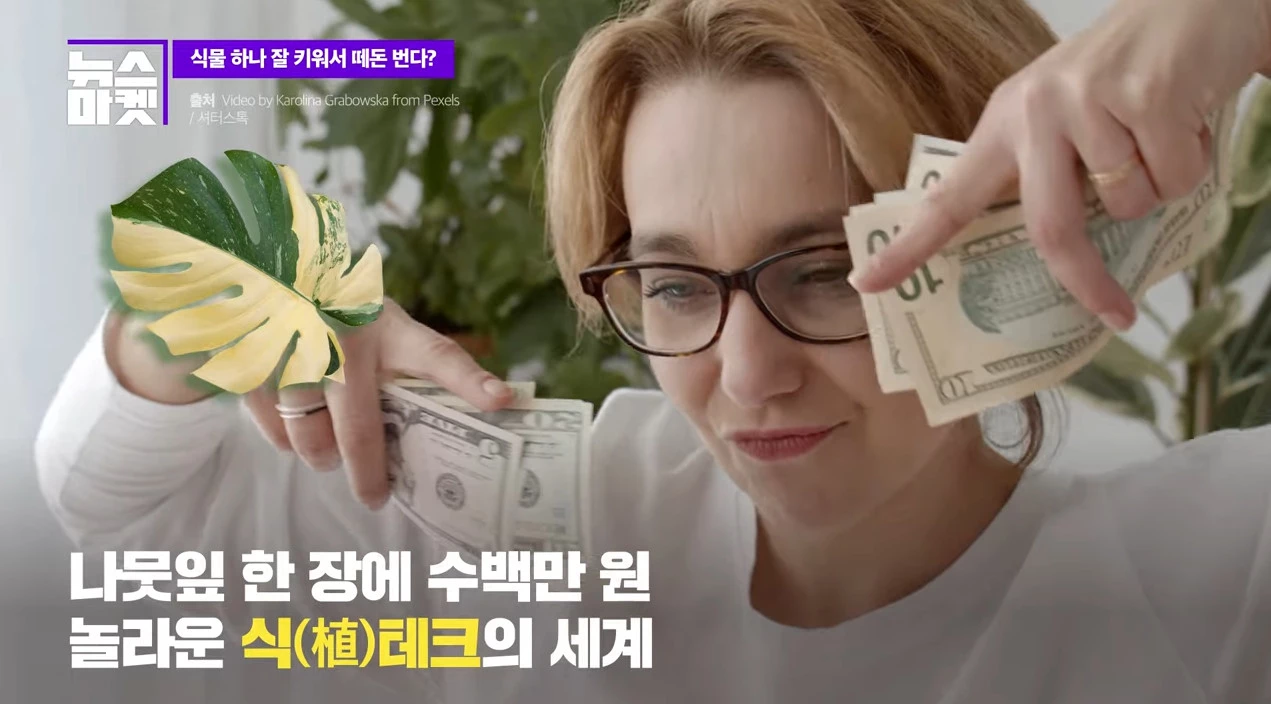 이하 유튜브 '뉴스마켓'