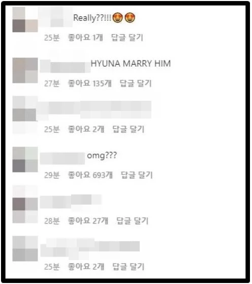 던 인스타그램 댓글창 캡처