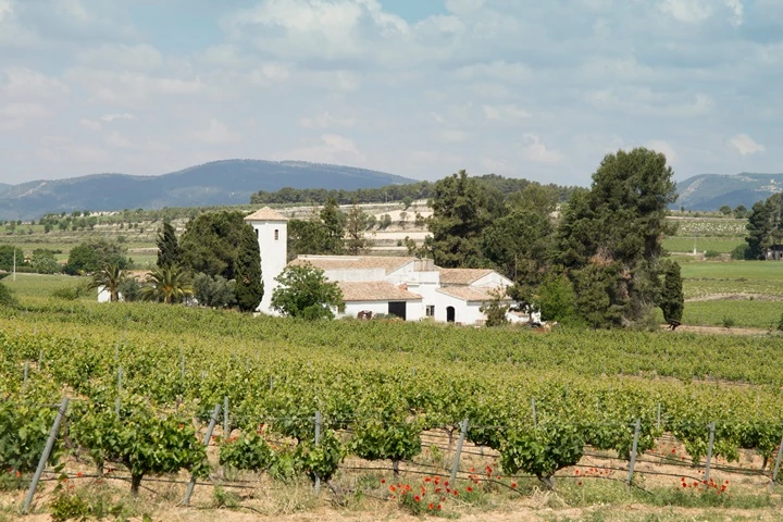 스페인 발렌시아자치지방 발렌시아주 폰타나르스 델스 알포린스시의 한 농가. /Ana del Castillo-shutterstock.com