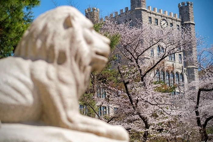 경희대학교 인스타그램