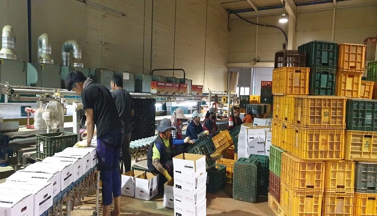 고창황토배기유통 / 고창군