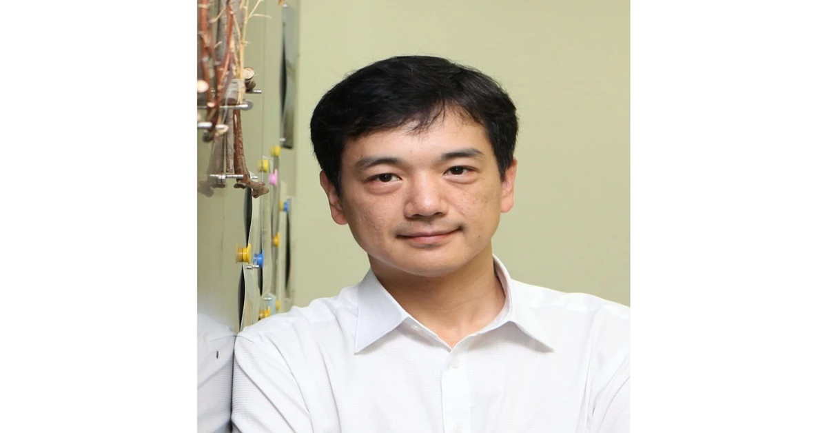 UNIST 바이오메디컬공학과 김성필 교수 /     POSTECH 제공